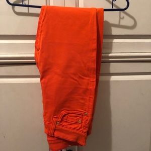 Womens bundle/lot of designer jeans. Sizes are in pictures